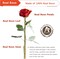 Gold Dipped Rose, 24K Gold Rose Made from Real Rose - Unique Design Gold Plated Rose for Anniversary Valentines Mothers Day Birthday Gifts (Blue Rose with Stand)